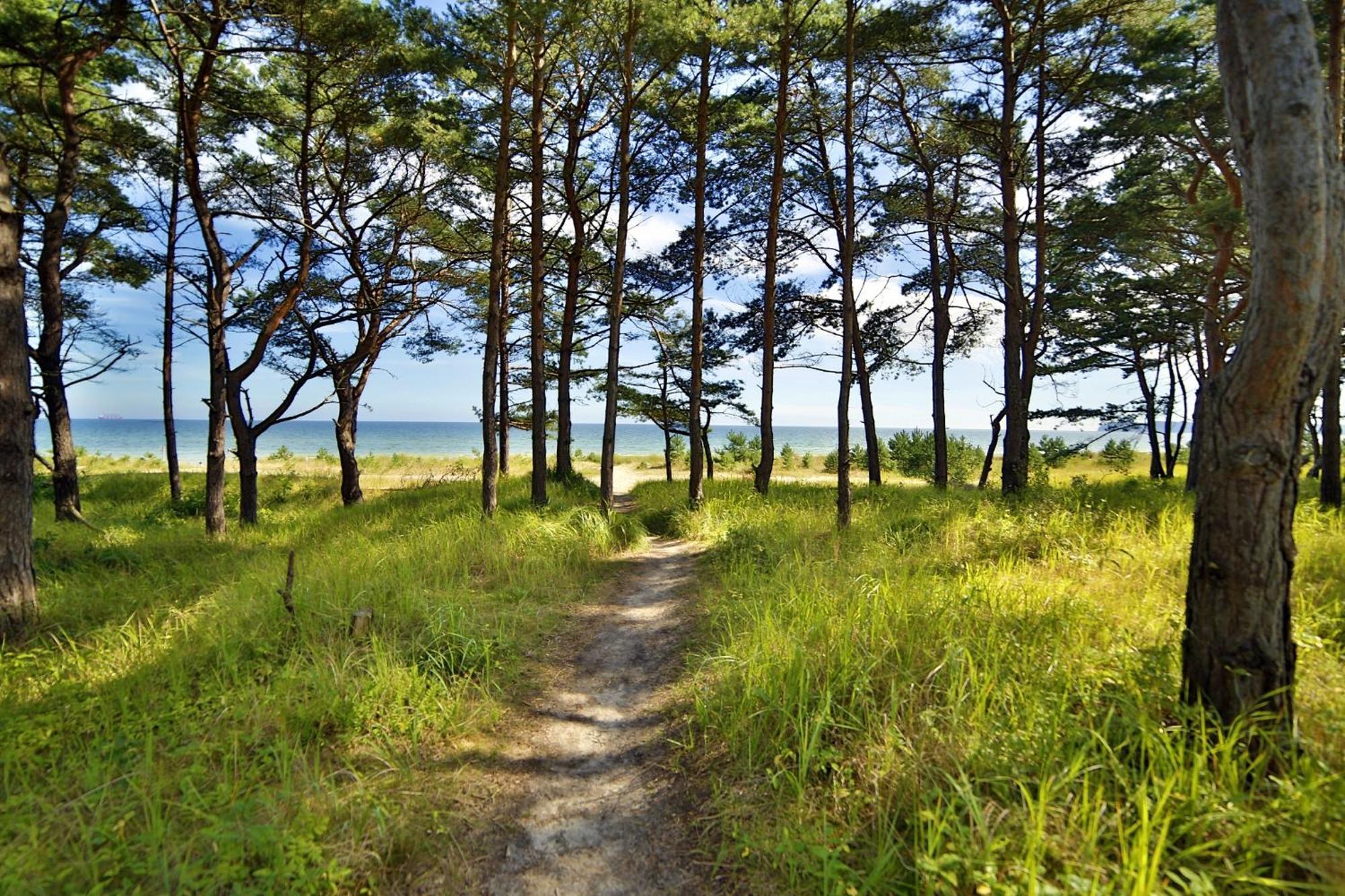 Ferienwohnung Sonnenschein Haus Hiddensee Prora Остзебад Бинц Екстериор снимка